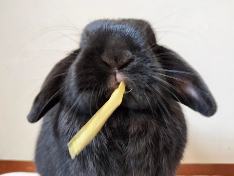 72BBA8AD-23B2-42B6-8A75-B6885761D2C7