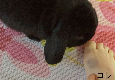 ACB72A40-C350-454F-9EAA-6DCCB6A46D3F