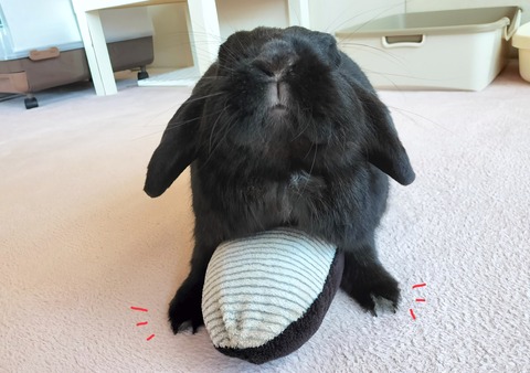 BCB1BAF1-F810-4866-819A-5D4871FBB841