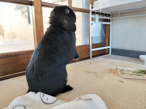 AFF0CF7D-5029-4478-99FA-D19E5704FDBA