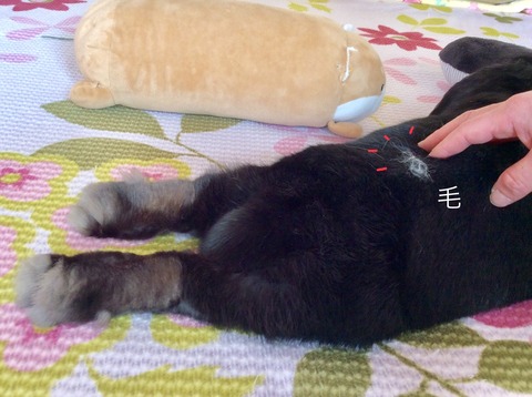 65E37D1A-06CA-458A-9A40-59C164536213