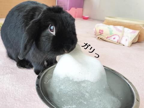 D2619FBE-FFF1-4970-907A-336F9E105D95