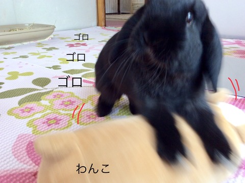 AAC626C2-330C-48EB-8B6F-C82453F13CA9