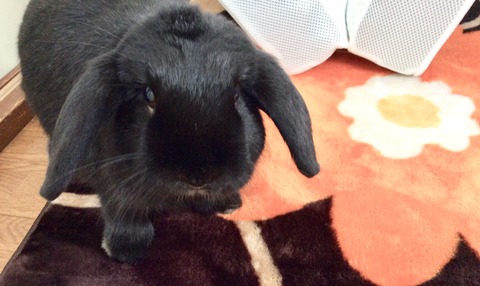 8D5E1B93-75D4-4CB0-A623-24ABED5952C4