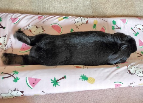 C427E328-C949-48C7-9677-F7B2E2400B3C