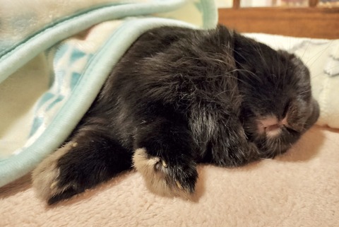 7A998F50-90DF-4CEA-88B9-DC5EE0EBC317