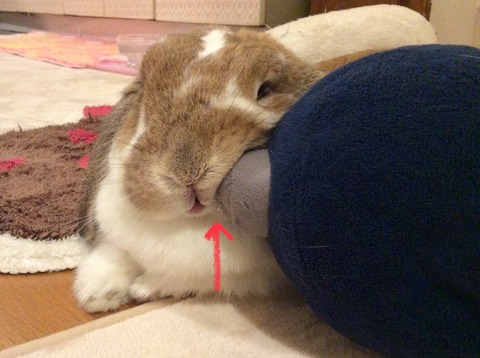 6CE15D6E-ECDC-4333-8EFB-0DDA83A2CE73