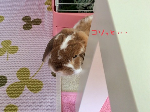 E2E2BA16-F03B-40E9-91F8-7E9E006D38B4