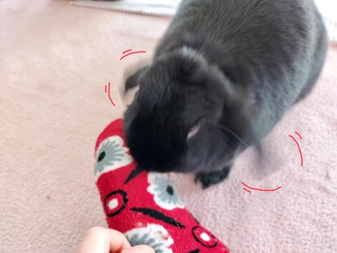 CD3121FD-7DE6-4168-BB70-AA7A72766E3B