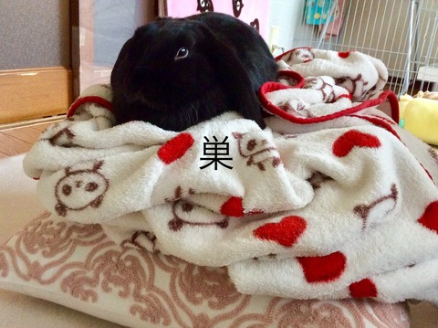 67130D4F-FFB2-4E50-B092-41C4F53B9008