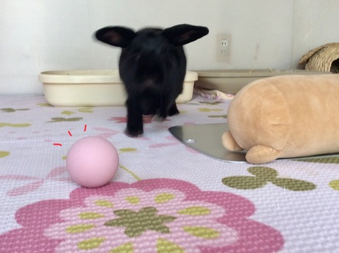 36F20297-9341-44F6-8DDD-5EAF637E0A2C