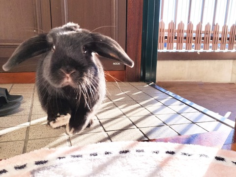 52C8222B-2E44-4D49-983D-485DE9D8D5C4