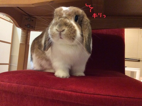 96B661B3-D16B-43EF-A875-2E0B8C4F1B2B