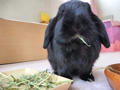 BC903B6F-793A-4933-86CE-2FFDBA958184