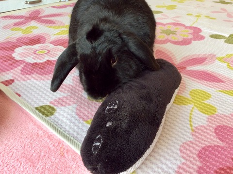 5178B494-D7CB-4F0D-9AED-69DB50666C10