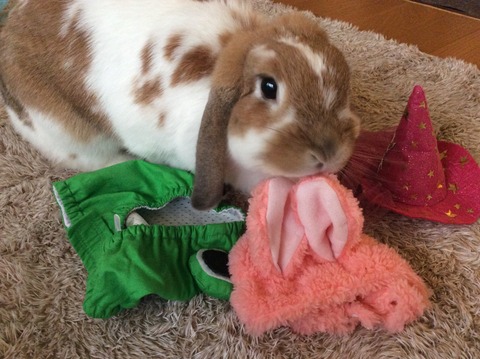 E6435F9A-68B3-4902-A956-5A7638698768