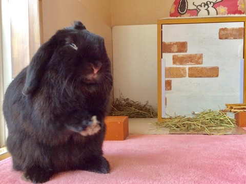 9AC42691-FCF6-4AFA-B74B-C5542FD91E86