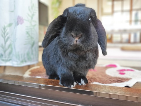 AB812B74-2BBB-4BF9-A03F-590389DAF8BC