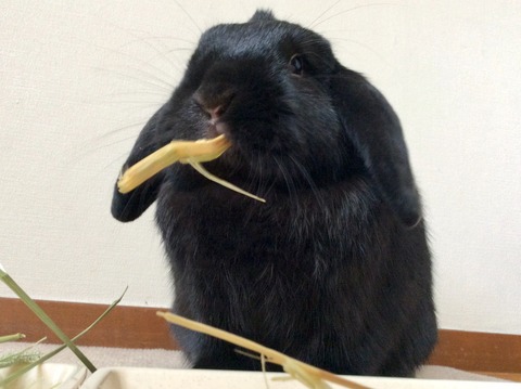 A97C782C-AB7C-4FDF-A06E-33B2DD10A2EE