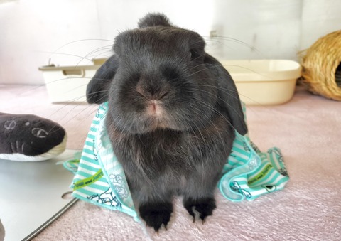 16DB4045-9E7D-4D75-9A35-F2BFABC3730D