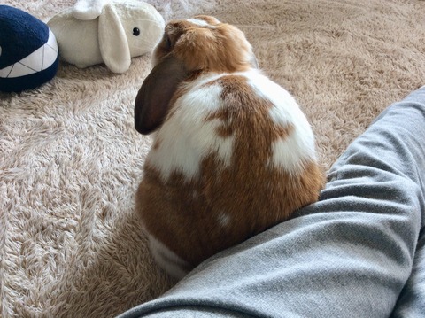 C274AE74-C09B-409F-B8F2-7561E9CB5897