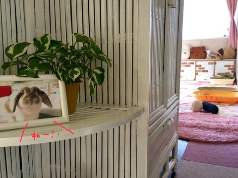 BD9D188A-8399-4AF2-A3F0-A0596E663E0D