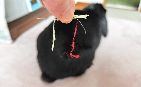 825B75FB-5B64-4551-A98B-072CD2C90E81