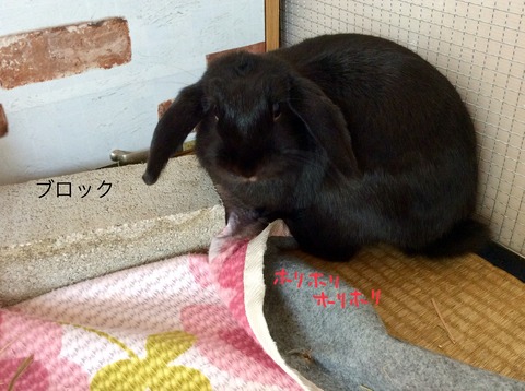 99525C5D-E8C1-475A-BF72-BFF2ACAF4690