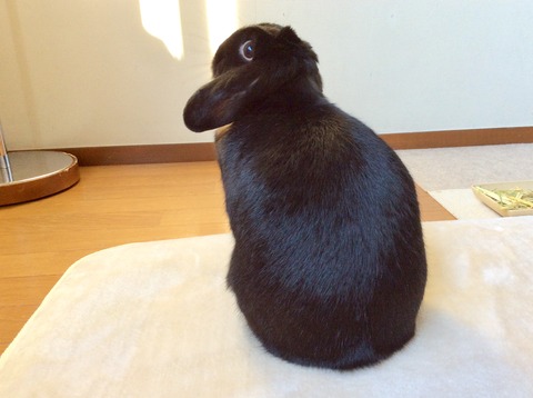 F54659D8-A2BA-46E8-A6C0-F14364D3C775