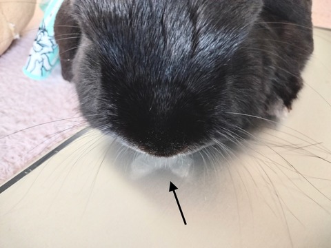 EB971E74-78AC-4C37-9D95-346CA87C0CB6