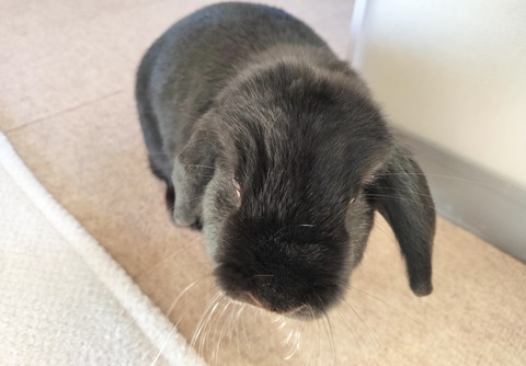 9B23ACAD-C791-4205-9A29-DD3B456402E9