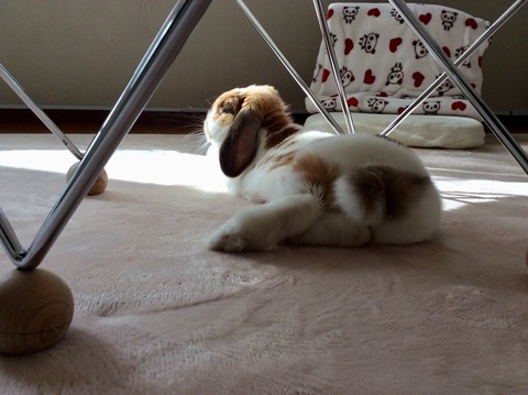 6C718D80-101D-4710-82E6-D14F5216B25A