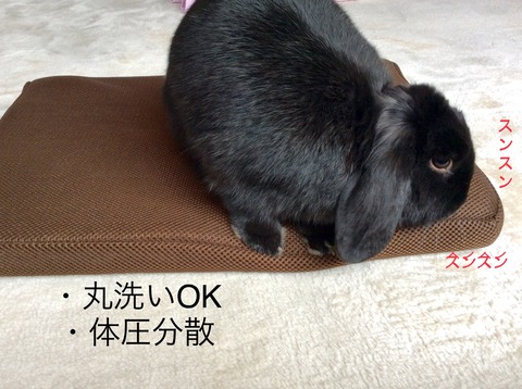 CCE21A1E-B809-4537-93F2-16ECB24846F4