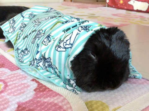 99CE4D15-0493-425E-B115-88B30ECE78F5