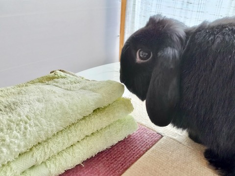 7CFDF02E-25B7-4C65-9003-695B12C06FAE