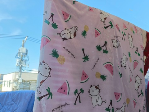 2BDF1279-08D5-4734-87D2-8D02BDCDF6B1