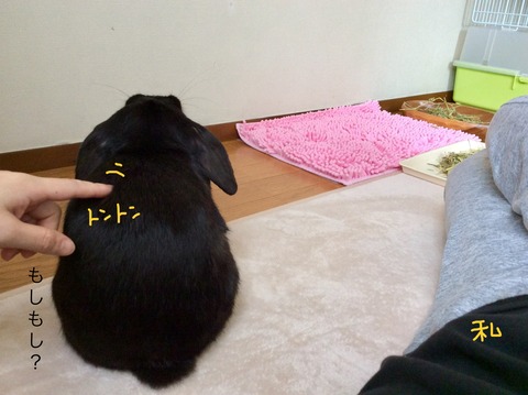 887B2517-2418-41E8-8D01-5EDE647A9D24