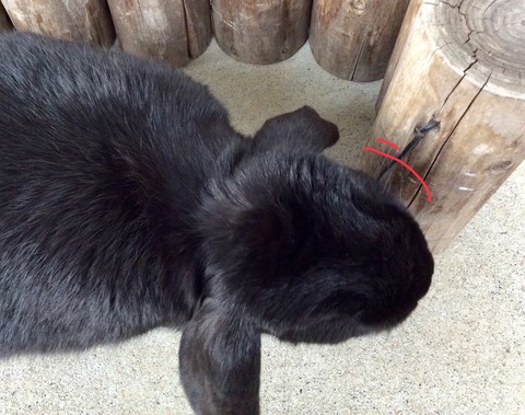 5AE8DCB5-E8A7-4D0B-A41E-658D20E2D93D