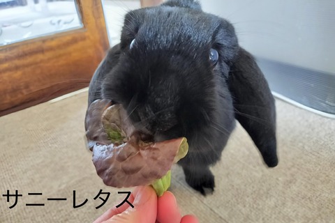 9DF7DCDE-20F9-40A0-AA23-7BAA9CF71562