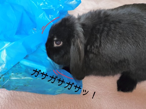 B5DC8931-C34C-4E16-9DFF-DC2BC449C1BA