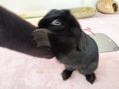 0F2065B2-1C05-45C9-A12F-2671544F3EF1