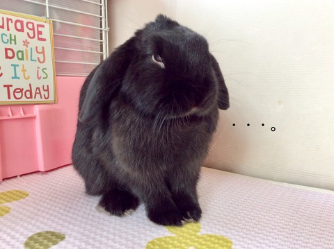 ECF3AF70-D7BB-49FC-95E2-B63A2B61E9F3