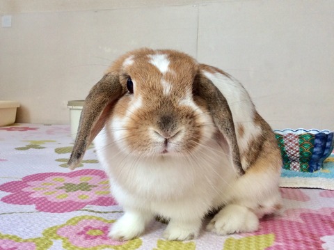 1603B34E-7E3D-4F84-95C5-55308B084C0D