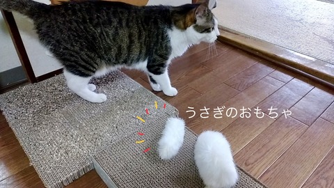 28F53C33-E682-46A8-BF60-3422157BE541