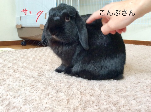 78E809BB-2C94-49E1-90C1-812A9921C5F8