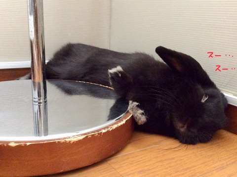 4A050097-79CE-4DE9-A84B-28B07ABFA031