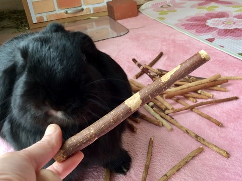 4FD51FF6-425D-430B-8D13-7CB9E8542CFE