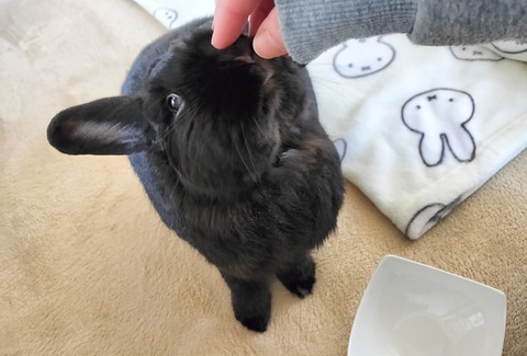 F5816F59-DAE5-49D1-A8DE-42ACD40CE724