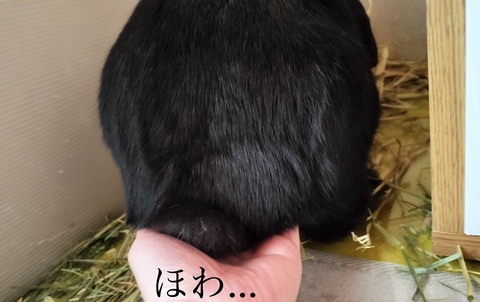 754F0FCC-CA93-4763-81D9-D69BB7E5556B