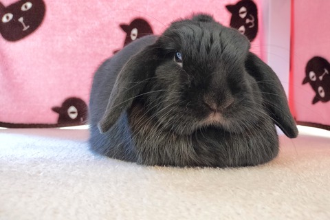 8AEE5F56-7D66-4AFB-BF1D-0C5C863D2D2A